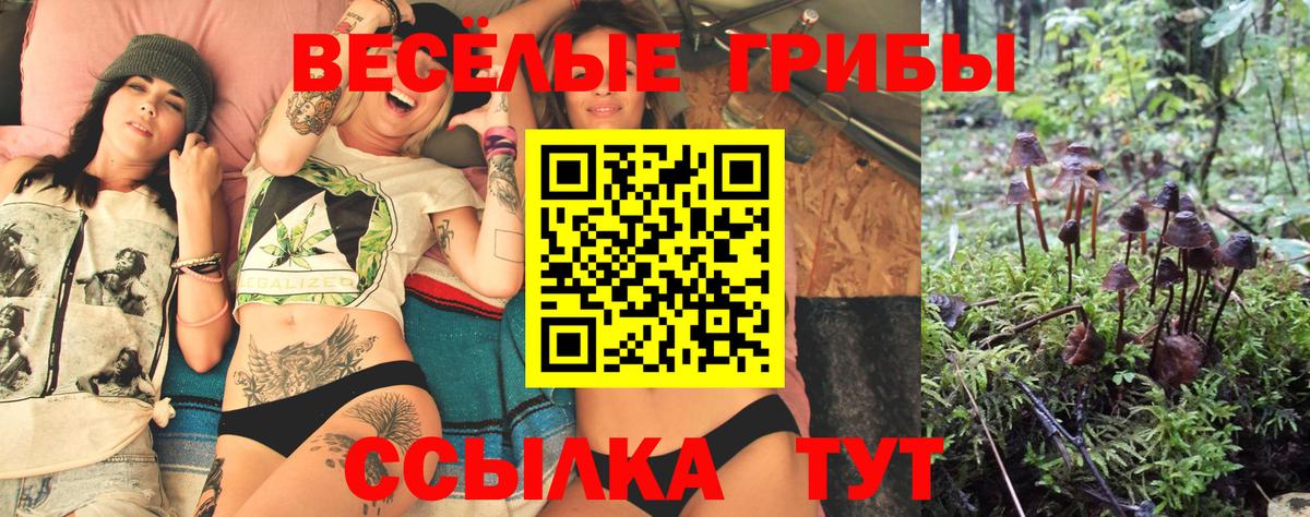 Галлюциногенные грибы GOLDEN TEACHER  Вход с VPN  Шебекино 