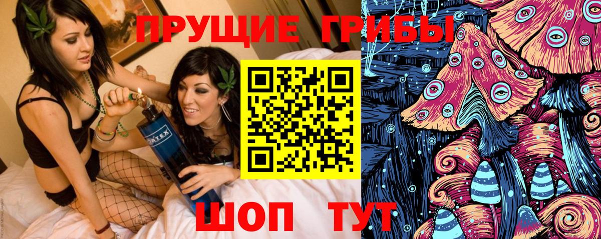 Псилоцибиновые грибы Psilocybe Шебекино